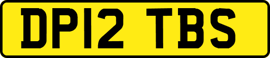 DP12TBS