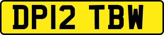 DP12TBW