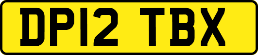 DP12TBX