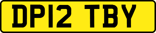 DP12TBY