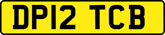DP12TCB