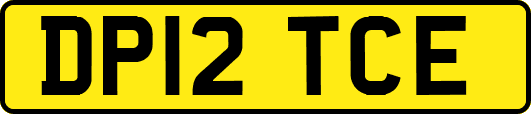 DP12TCE