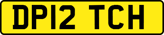 DP12TCH