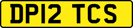 DP12TCS
