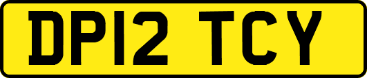 DP12TCY