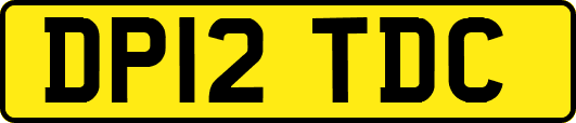 DP12TDC