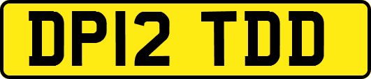 DP12TDD