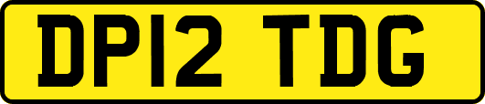 DP12TDG