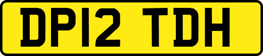 DP12TDH