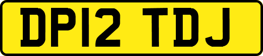 DP12TDJ