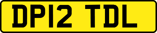 DP12TDL