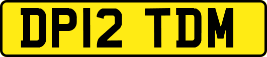 DP12TDM