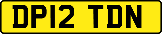 DP12TDN