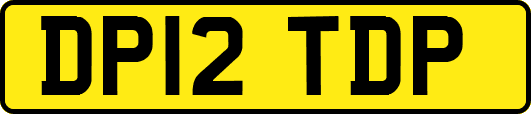 DP12TDP
