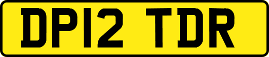 DP12TDR