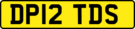 DP12TDS