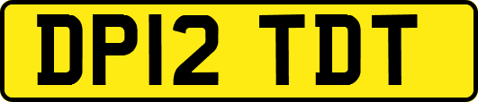 DP12TDT