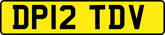 DP12TDV