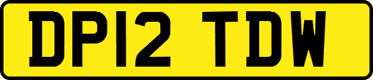 DP12TDW