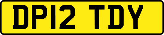 DP12TDY