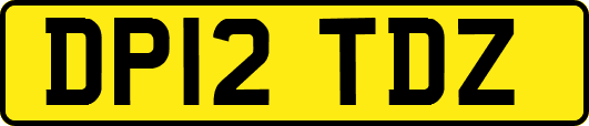 DP12TDZ