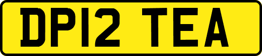 DP12TEA