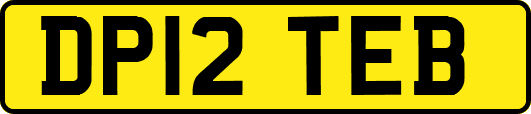 DP12TEB