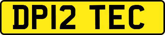 DP12TEC