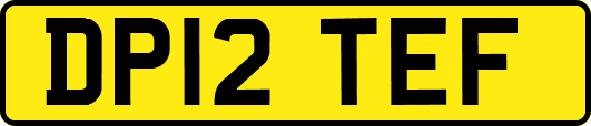 DP12TEF