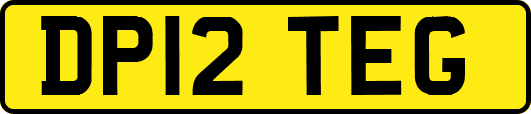 DP12TEG