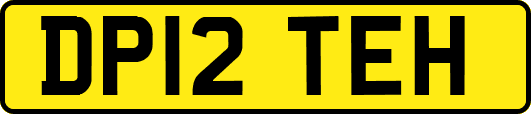 DP12TEH