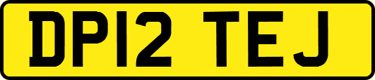 DP12TEJ