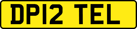 DP12TEL