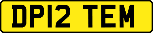 DP12TEM
