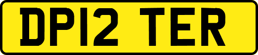 DP12TER