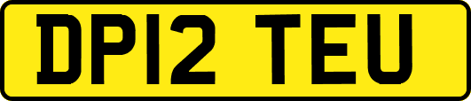 DP12TEU