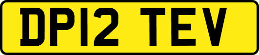 DP12TEV