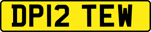 DP12TEW