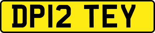 DP12TEY