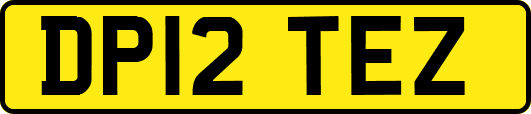 DP12TEZ
