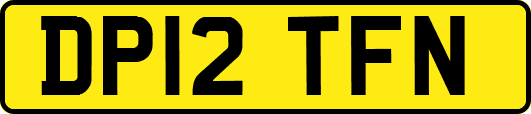 DP12TFN