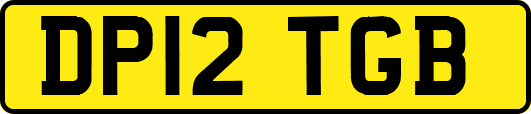 DP12TGB