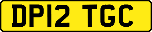 DP12TGC