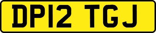 DP12TGJ