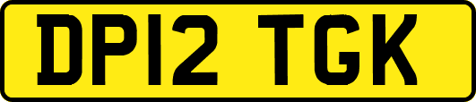 DP12TGK