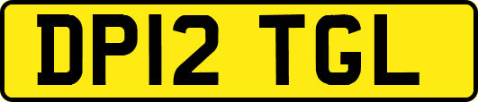 DP12TGL