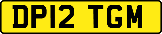 DP12TGM