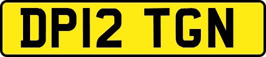 DP12TGN