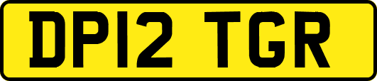 DP12TGR