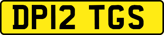 DP12TGS